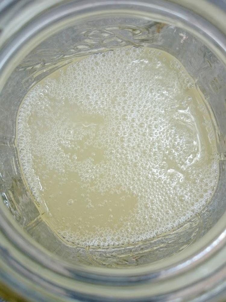 Ambrosia do Cerrado Liquid Moisturizer
